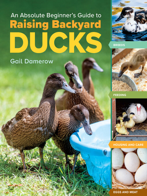 Title details for An Absolute Beginner's Guide to Raising Backyard Ducks by Gail Damerow - Wait list